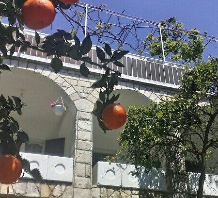 House Orange Apartments Herceg Novi Eksteriør billede