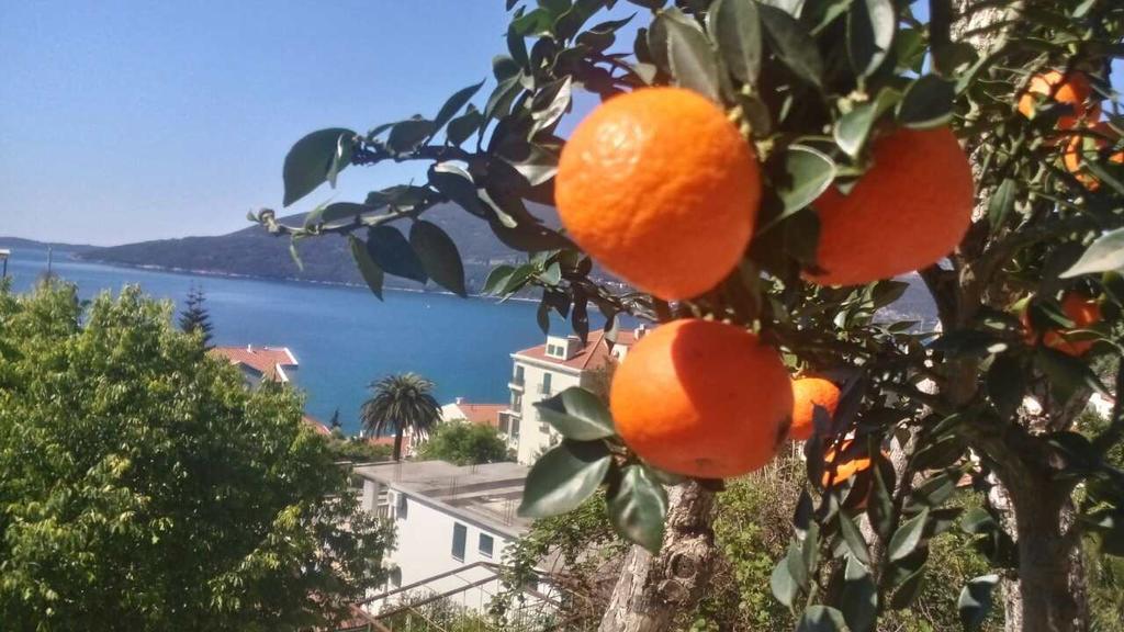 House Orange Apartments Herceg Novi Eksteriør billede