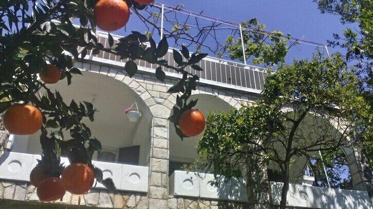 House Orange Apartments Herceg Novi Eksteriør billede