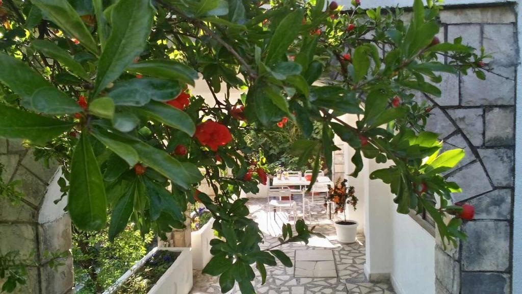 House Orange Apartments Herceg Novi Eksteriør billede